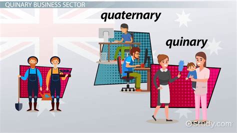 Quinary Sector Of Economy Definition Importance And Job Examples