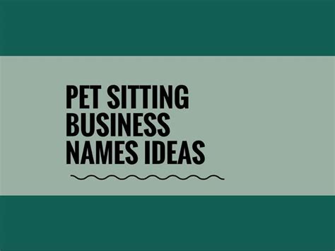1010 Pet Sitting Business Names Ideas Examples Generator Video