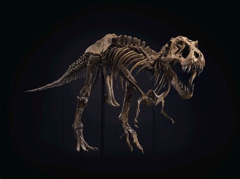 Meet Stan The Worlds Most Expensive Tyrannosaurus Rex Fossil Book