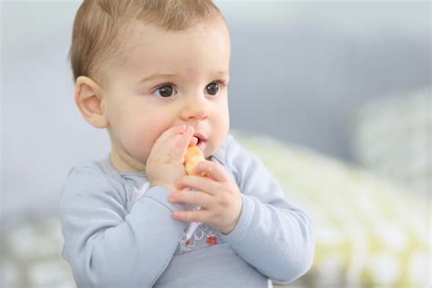 Cari Biskuit Bayi Yang Lezat Dan Bergizi Ini 15 Rekomendasi Biskuit