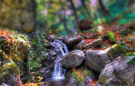 Forest Trees Autumn 2k River Rocks Water Rocky Special Effects
