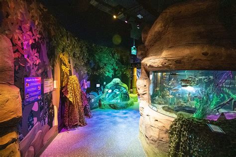 Visiting And Reviewing Sea Life Michigan Aquarium In Auburn Hills