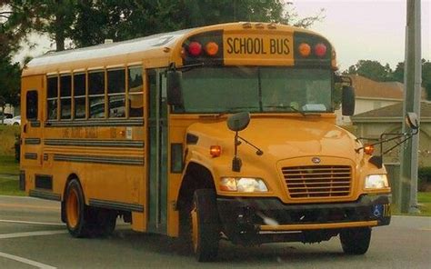 Blue Bird Vision School Bus For Lake District Schools In Florida