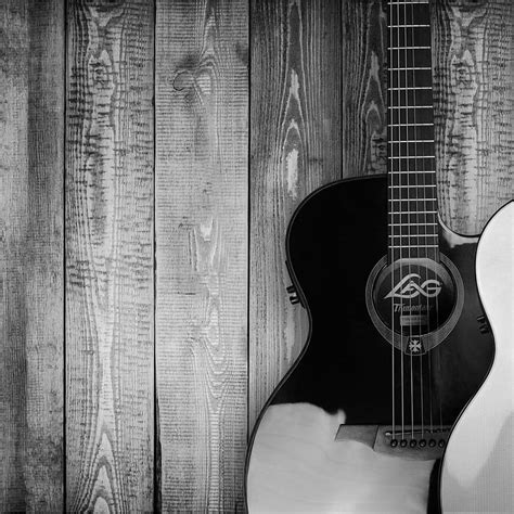 Two Grayscale Acoustic Guitars Antique Art Bass Black And White