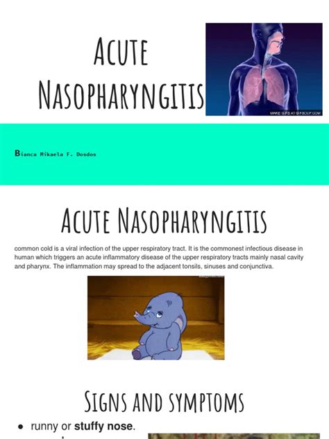 Acute Nasopharyngitis Pdf