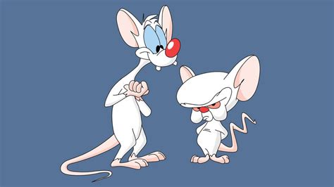 Pinky and the brain is an american animated television series that aired on kids' wb from 1995 to 1998. Pink E Cérebro Desenho Animado Dublado Antigo Anos 80 - R ...