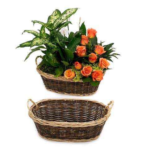 Oval Willow Basket Floral Supply Syndicate Floral T Basket And