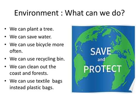 Environment What Can We Do презентация онлайн