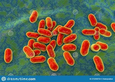 Prevotella Bacteria 3d Illustration Gram Negative Anaerobic Bacteria