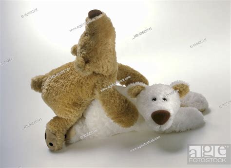 Toy Teddy Bears Body Position Mating Kuscheltiere Plush Animals