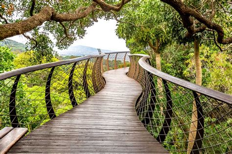 Kirstenbosch Botanical Gardens 2023 Cape Tourism
