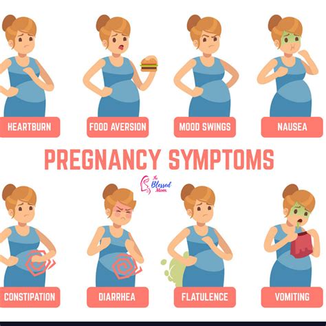 Symptoms Of Pregnancy For A Boy Pregnancysymptoms