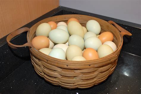 A Pretty Egg Basket Murano Chicken Farm