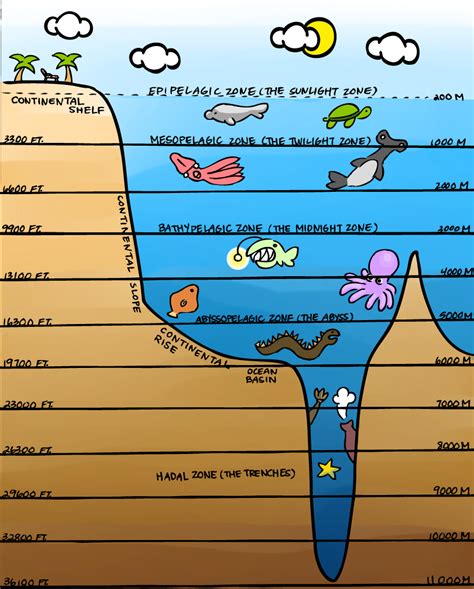 Layers Of The Ocean Reference By Thebrittanylee On Deviantart Layers