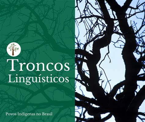 Quais Grandes Troncos Linguísticos Estavam Presentes No Território Brasileiro