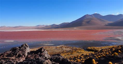 Laguna Colorada Geofr