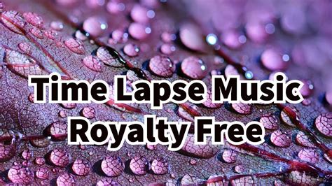 Royalty Free Time Lapse Music Piano And Claps Copyright Free Youtube
