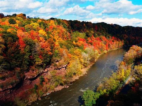 Genesee River Gorge From The Driving Park Bridge Rochester Ny River Us Travel Outdoor