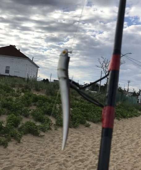 Surfland Bait And Tackle Plum Island Fishing