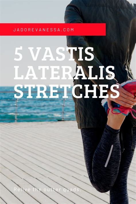 Step By Step How To Workout Vastus Lateralis Muscle With Step By Step