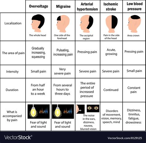 Types Of Headaches Driving Table Infographics Vector Image