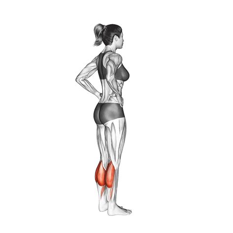 5 Best Bodyweight Exercises For Calves With Pictures Inspire Us