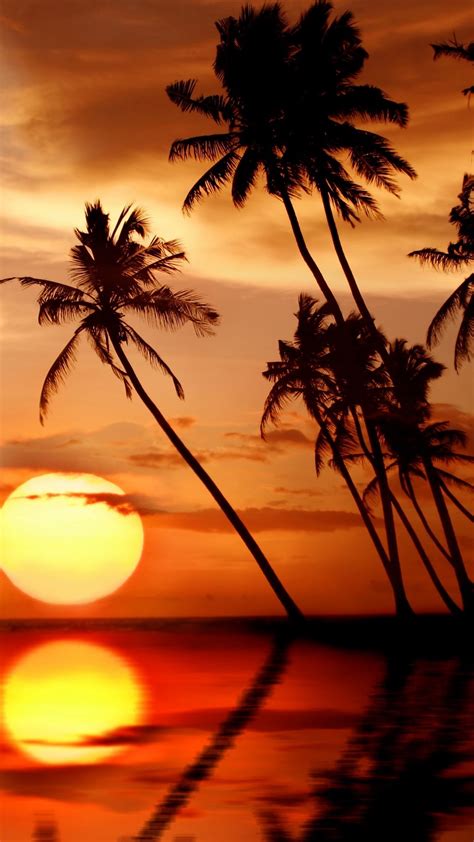 Wallpaper Beautiful tropical sunset, palm trees, sea, beach 2560x1920 ...