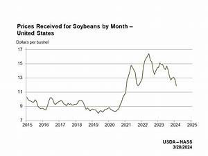 Swine Fever Set To Reduce China S Soybean Imports Further Usda