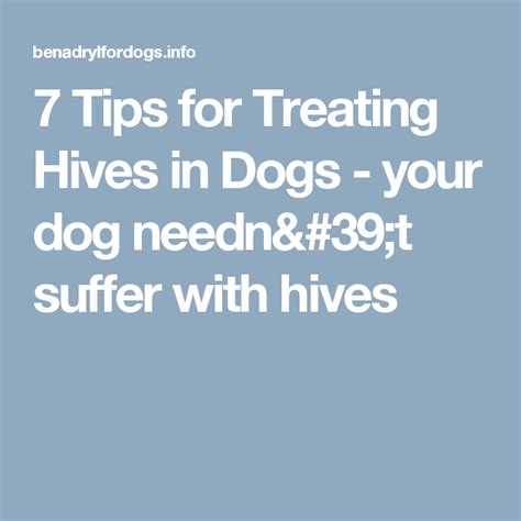 7 Tips For Treating Hives In Dogs Your Dog Neednt Suffer With Hives