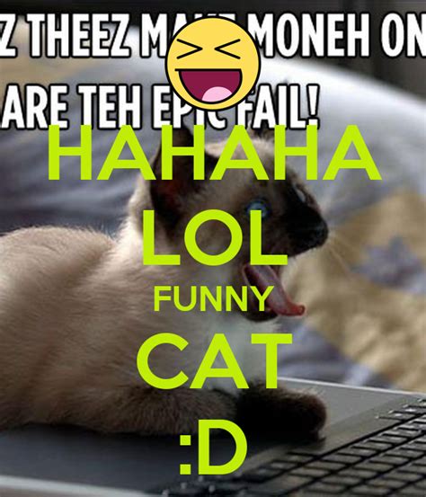 Hahaha Lol Funny Cat D Keep Calm And Carry On Image Generator
