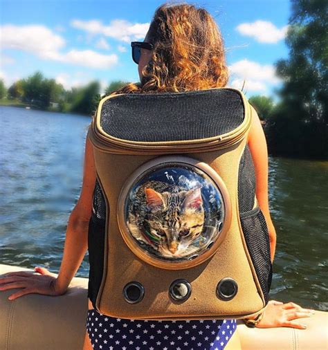 The Traveler Cat Backpack 26 Best Practices For Design