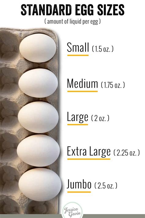 The Different Types Of Eggs And Sizes Jessica Gavin