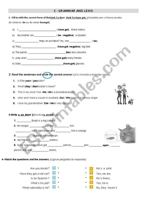 Personal Identification Test Part 2 Esl Worksheet By Mands
