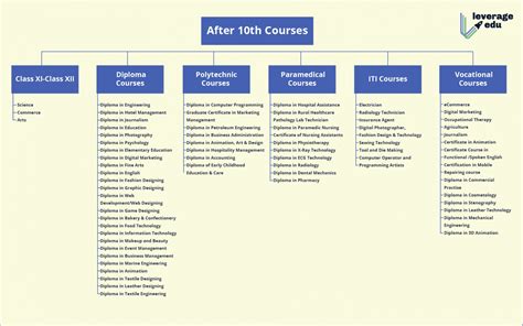 List Of Courses After 10th Standard 2021 Updated List Leverage Edu