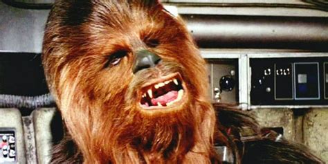 15 Things You Didnt Know About Chewbacca Therichest