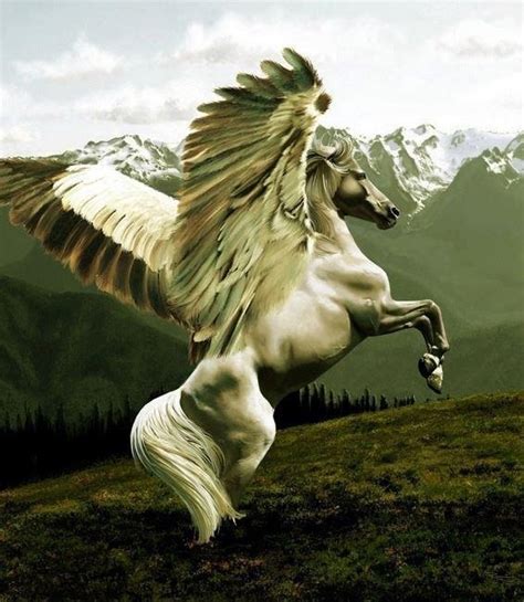 17 Best Images About Pegasus On Pinterest Pegasus Wings And Winged Horse