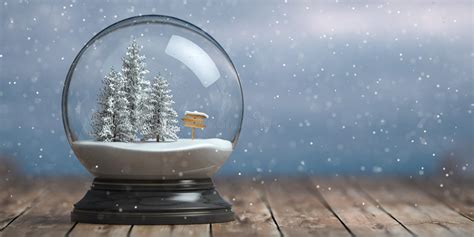 Merry Christmas Snow Globe With Fri Trees On Winter Snowfall Background