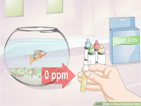 5 Ways To Keep A Goldfish Alive Wikihow