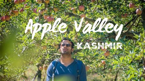 Apple Valley Kashmir Apple Garden In Kashmir Pahalgam Kashmir