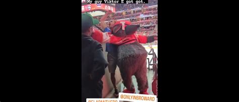 Florida Panthers Launch Investigation After Their Mascot Viktor E Ratt Gets Attacked By A Tampa