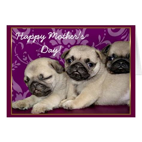 Happy Mothers Day Pug Puppies Greeting Card Zazzle