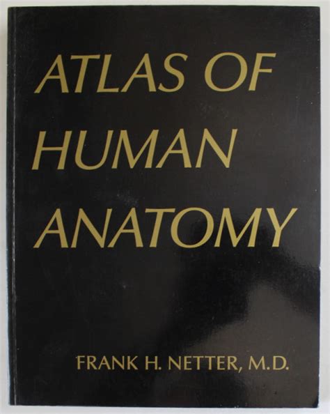 Netter Atlas Of Human Anatomy By Frank Netter 1989