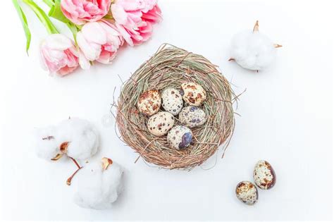 Easter Eggs In Nest Cotton And Pink Fresh Tulip Bouquet On Rustic White
