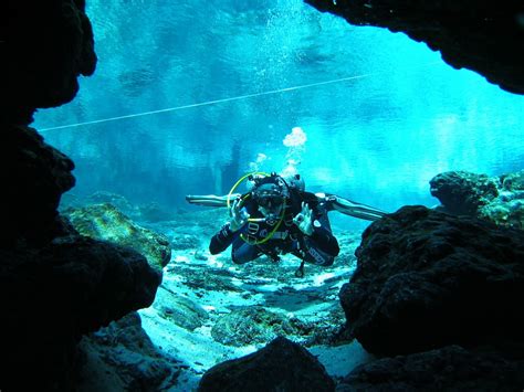 Scuba Diving Blog By Neutral Dive Gear Florida Cave Diving Is Lucrative