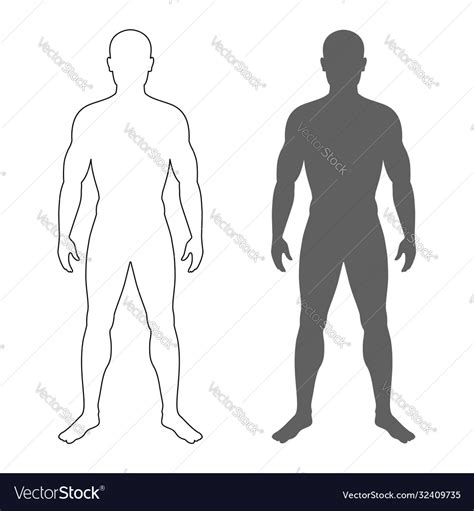 Male Human Body Silhouette And Contour Isolated Vector Image