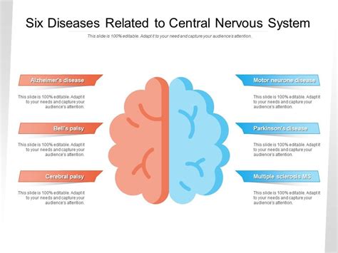 Six Diseases Related To Central Nervous System Powerpoint Slides