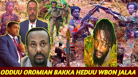Odduu Amee Warani Bilisumaa Oromo Loltotaa Motumma 137 Ajesee 200 Madoo