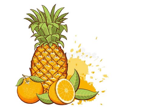 Exotic Fruits Pineapple Oranges Vector Color Illustration With Splash
