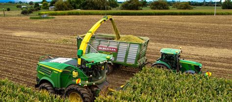 Harvesting Maize And Cereal Whole Crop Silage John Austin