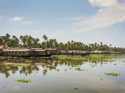 Off Beat Things To Do In Kerala Off Beat Travel Destinations In Kerala Times Of India Travel